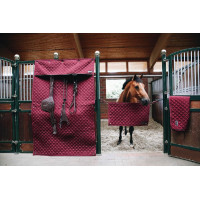 Boxvorhang Kentucky Schwarz