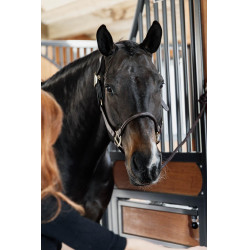 Kopfstück für anatomisches Lederhalfter Kentucky Braun Kopfstück für anatomisches Lederhalfter Kentucky Braun