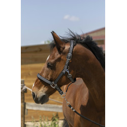 Norton Zari Halfter Schwarz Norton Zari Halfter Schwarz