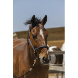 Norton Zari Halfter Marineblau