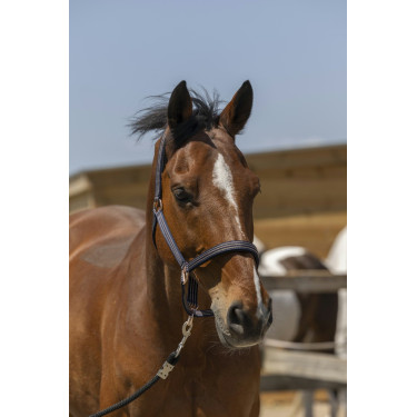 Norton Zari Halfter Marineblau