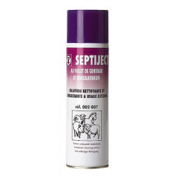 Antiseptische Sprühdose Septiject