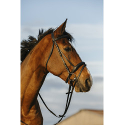 Bridon Riding World kombiniertes Reithalfter doppelt Bridon Riding World kombiniertes Reithalfter doppelt