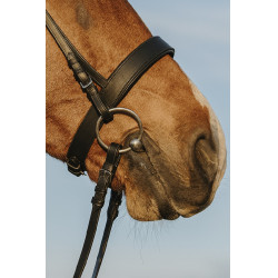 Trense Riding World Breites Nasenband Trense Riding World Breites Nasenband