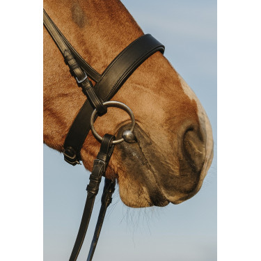 Trense Riding World Breites Nasenband Trense Riding World Breites Nasenband