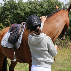 Sweatshirt Pénélope Chilly Grau Sweatshirt Pénélope Chilly Grau