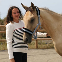 Pullover Pénélope x Saint James Maelle