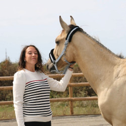 Pullover Pénélope x Saint James Maelle Ecru / Marine / Rot Motive