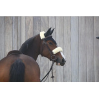 Fliegenhaube Kentucky Schwarz Fliegenhaube Kentucky Schwarz
