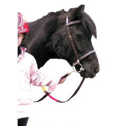 Erziehungszaum Canter Shetland Erziehungszaum Canter Shetland