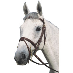 Doppelter flacher Zaum Canter Doppelter flacher Zaum Canter