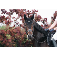 Mütze Wellington Sparkling Kentucky Schwarz Mütze Wellington Sparkling Kentucky Schwarz