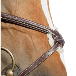 Gekreuzter, überstickter Zaum Canter Gekreuzter, überstickter Zaum Canter