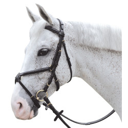 Gekreuzter, überstickter Zaum Canter Gekreuzter, überstickter Zaum Canter
