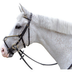 Trense mit gekreuztem Sperrriemen Canter Trense mit gekreuztem Sperrriemen Canter