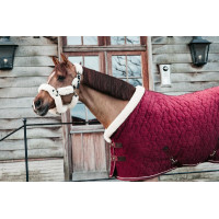 Präsentationsdecke Velvet Kentucky Marine Marineblau