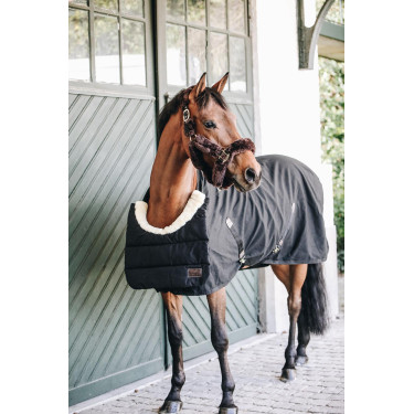 Brustschutz BIB Winter Kentucky Brustschutz BIB Winter Kentucky