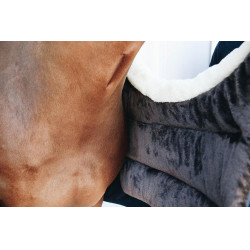 Brustschutz BIB Winter Kentucky Brustschutz BIB Winter Kentucky