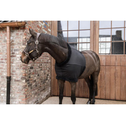 Brustschutz Kentucky Brustschutz Kentucky