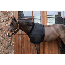 Brustschutz Kentucky Brustschutz Kentucky