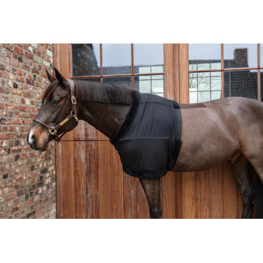 Brustschutz Kentucky Brustschutz Kentucky