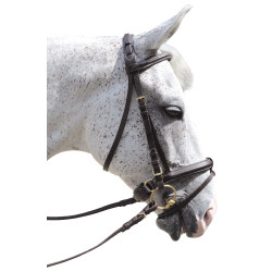 Trensenzaum Pull Back Euro Canter Trensenzaum Pull Back Euro Canter