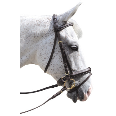 Trensenzaum Pull Back Euro Canter Trensenzaum Pull Back Euro Canter