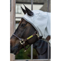 Kentucky Ekzemerdecke Grau Kentucky Ekzemerdecke Grau