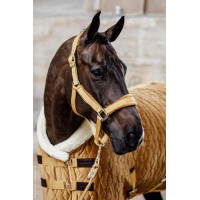 Präsentationsdecke Velvet Kentucky Senf Gelb