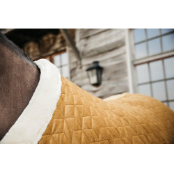 Präsentationsdecke Velvet Kentucky Präsentationsdecke Velvet Kentucky