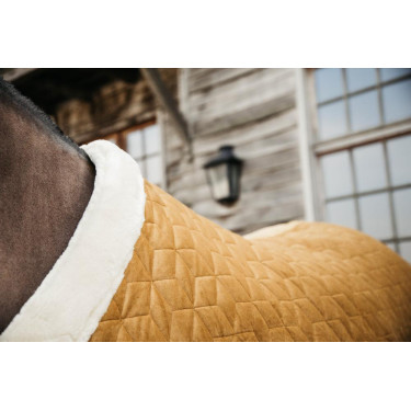 Präsentationsdecke Velvet Kentucky Präsentationsdecke Velvet Kentucky