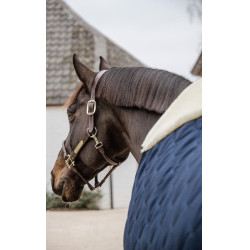 Stalldecke Comfort Kentucky Stalldecke Comfort Kentucky