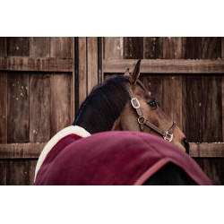 Chemise Séchante Show Fleece Heavy Kentucky Bordeaux