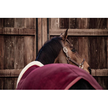 Chemise Séchante Show Fleece Heavy Kentucky Bordeaux