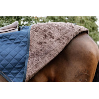 Kentucky Nierendecke Schwarz Kentucky Nierendecke Schwarz
