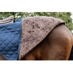 Kentucky Nierendecke Kentucky Nierendecke