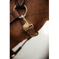 Kentucky-Medaille Gold