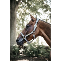 Anatomisches Halfter aus Wildleder Kentucky Grau