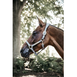Anatomisches Halfter aus Wildleder Kentucky Grau