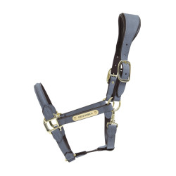 Anatomisches Halfter aus Wildleder Kentucky Grau
