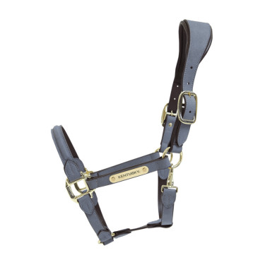 Anatomisches Halfter aus Wildleder Kentucky Grau