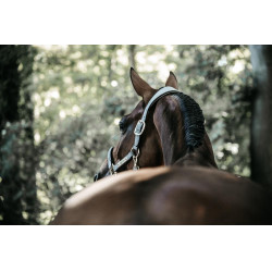 Anatomisches Halfter aus Wildleder Kentucky Grau