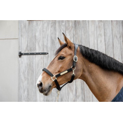 Anatomisches Nylonhalfter Kentucky
