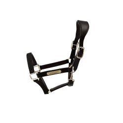 Anatomisches Nylonhalfter Kentucky Schwarz