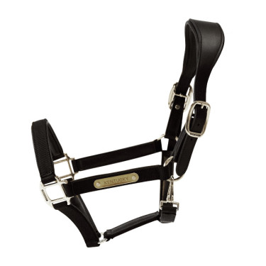 Anatomisches Nylonhalfter Kentucky Schwarz