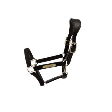 Anatomisches Nylonhalfter Kentucky Anatomisches Nylonhalfter Kentucky