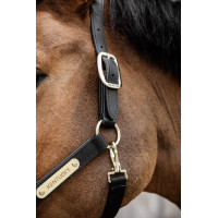 Anatomisches Nylonhalfter Kentucky Schwarz Anatomisches Nylonhalfter Kentucky Schwarz