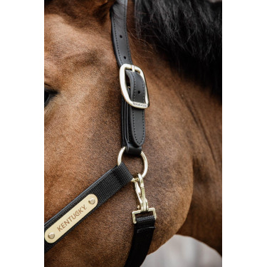 Anatomisches Nylonhalfter Kentucky Anatomisches Nylonhalfter Kentucky