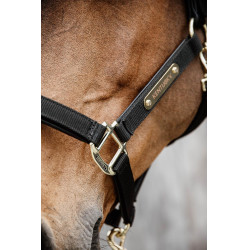 Anatomisches Nylonhalfter Kentucky Schwarz