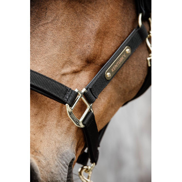 Anatomisches Nylonhalfter Kentucky Anatomisches Nylonhalfter Kentucky
